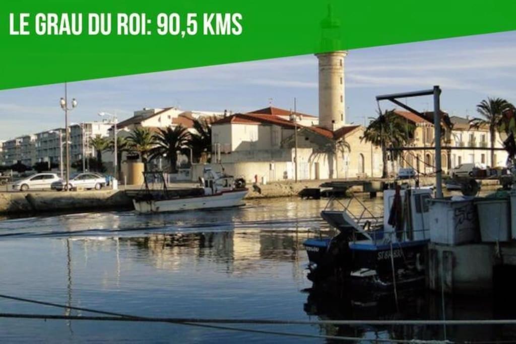 La Cachette De L'Horloge - Ac Clim - Wifi - 100M Palais Des Papes Apartment อาวีญง ภายนอก รูปภาพ